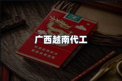 广西越南代工